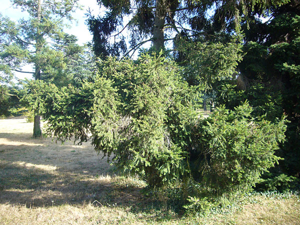Arboretum de l'Ecole du Breuil